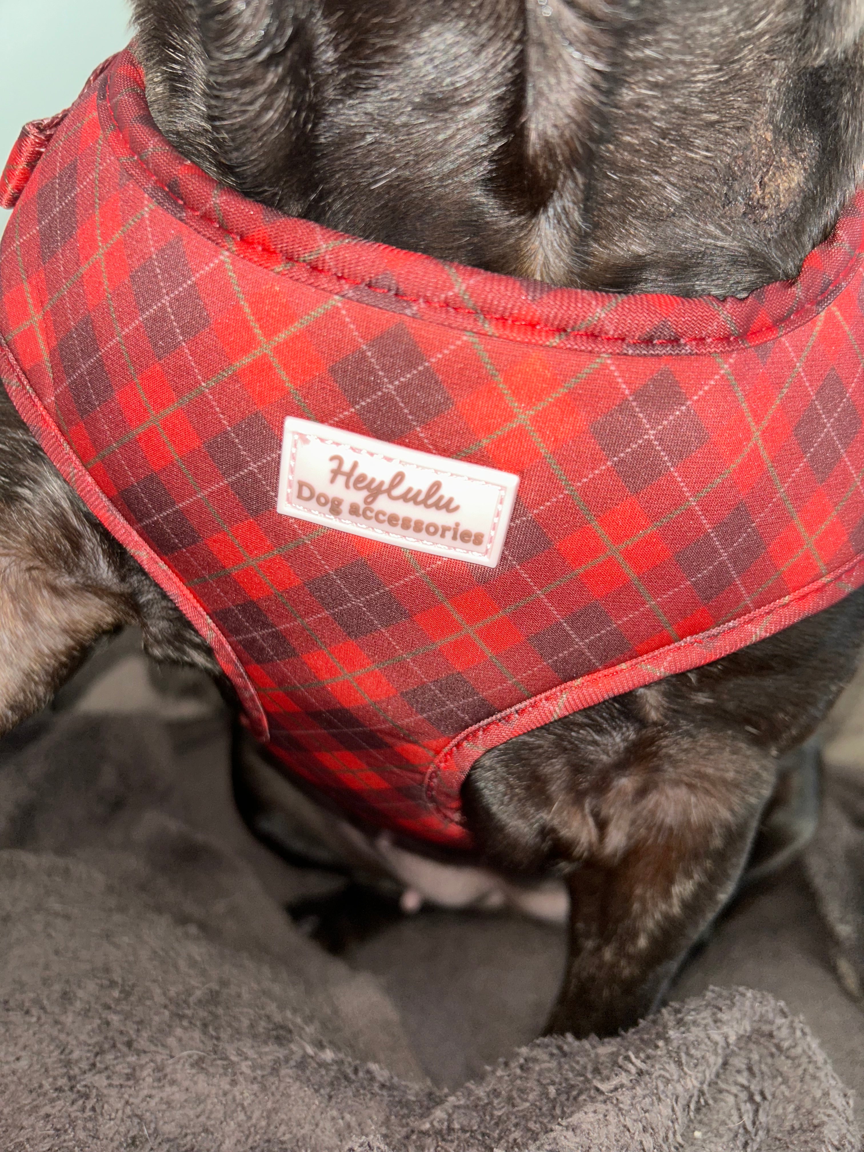 Pup in Plaid Adjustable Dog Harness