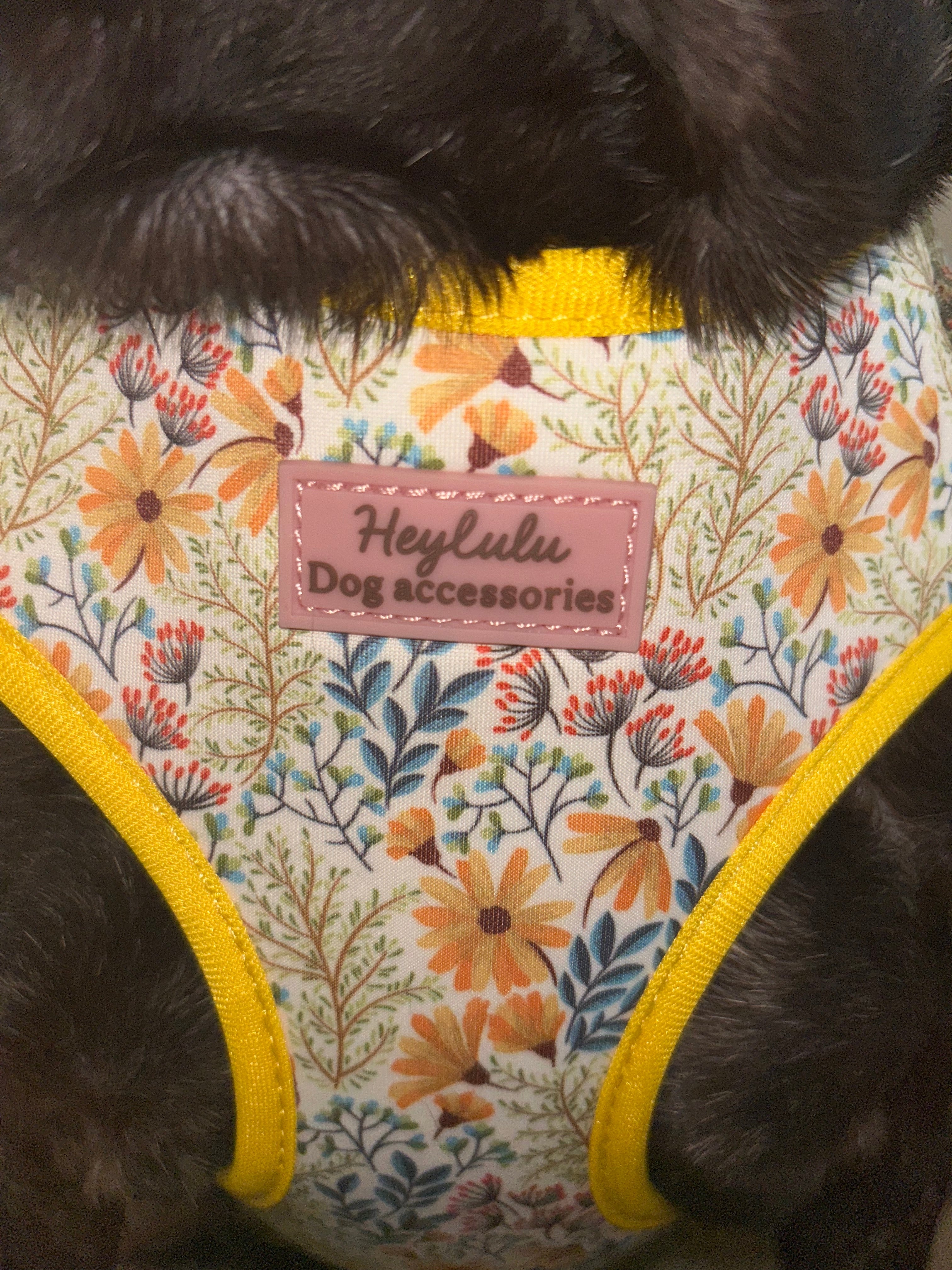 ‘Golden Meadows’ Adjustable Dog Harness