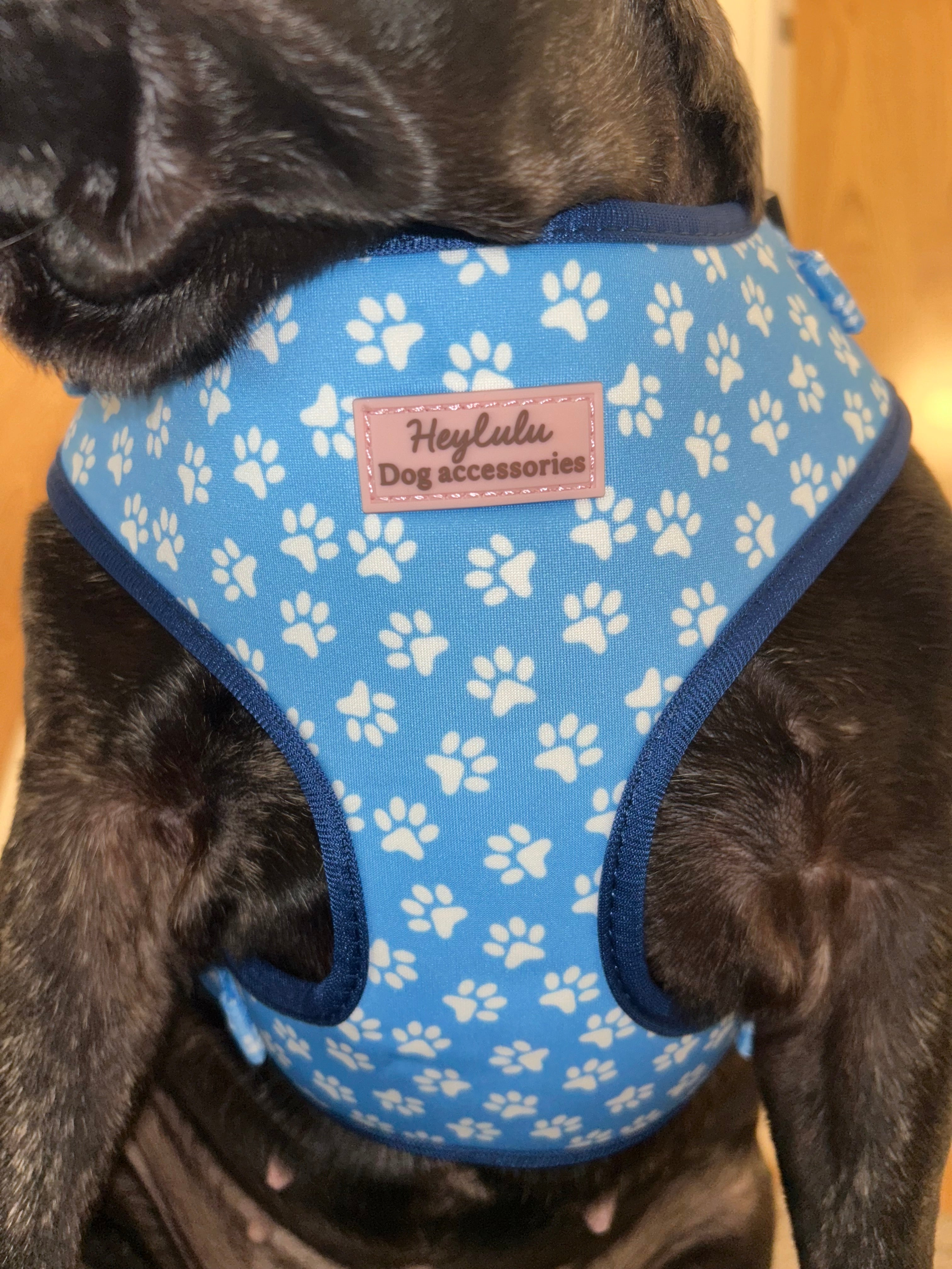 ‘Blue Me Away’ Adjustable Dog Harness